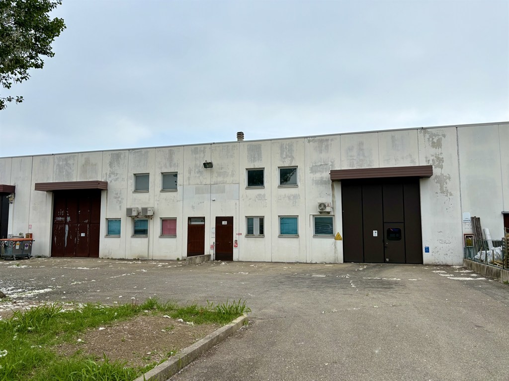 Valsamoggia, loc. Crespellano - Affittasi capannone